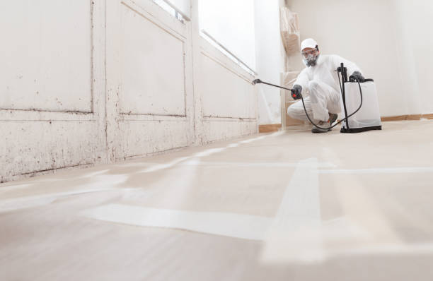24/7 Emergency Attic Mold Removal experts in Atlanta, TX